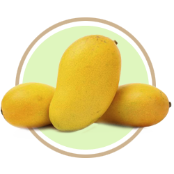 KESAR MANGOES